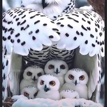 Landlust Amsterdam Area Konukevi Purmerend